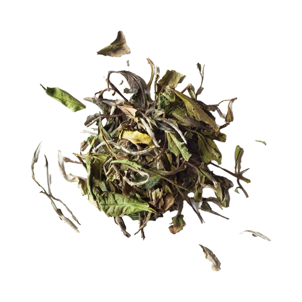 Premium Peony White Tea